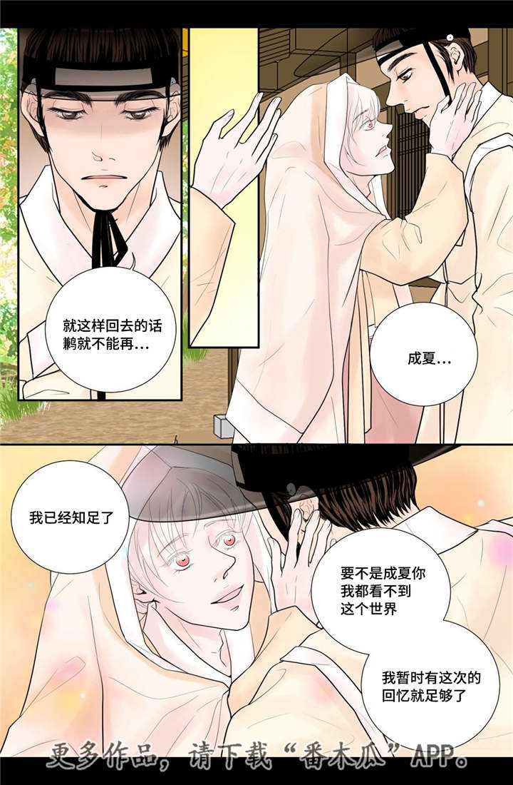 第35章：带来爱情8