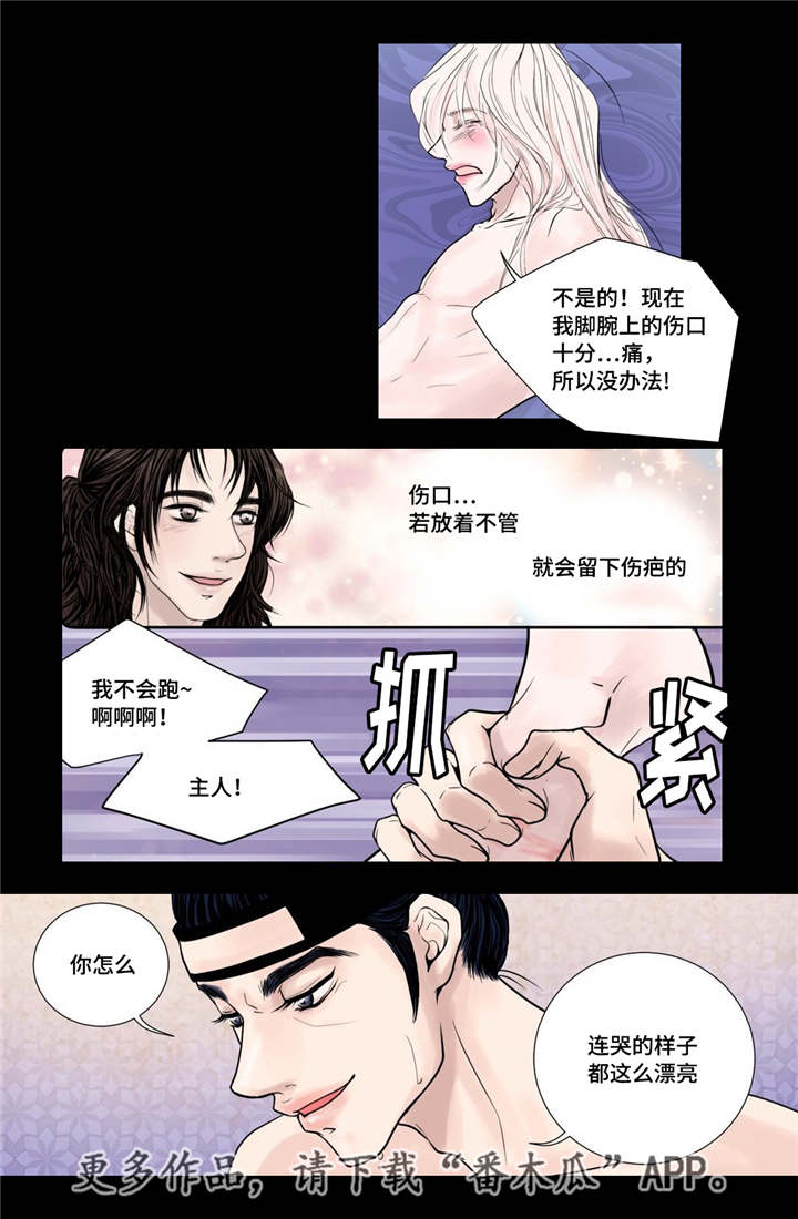 第18章：牢牢抓住13