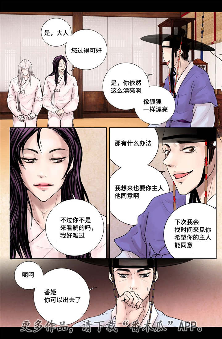 第14章：美丽动人18