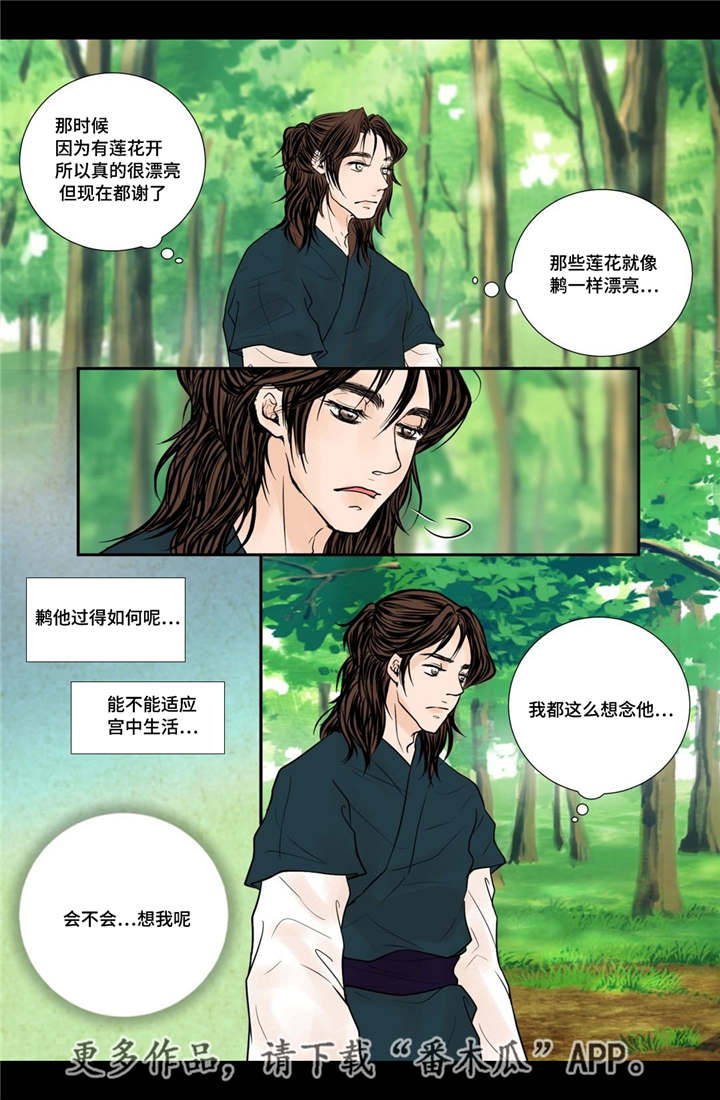 第53章：找到真爱5