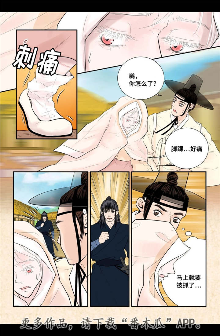 第35章：带来爱情1