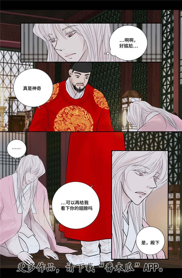 第51章：他的眼光9