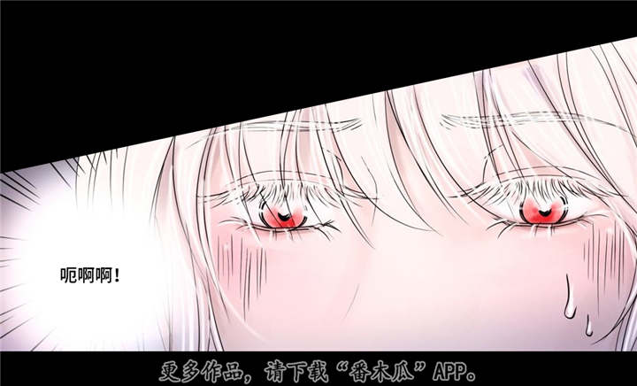 第13章：爱不释手14