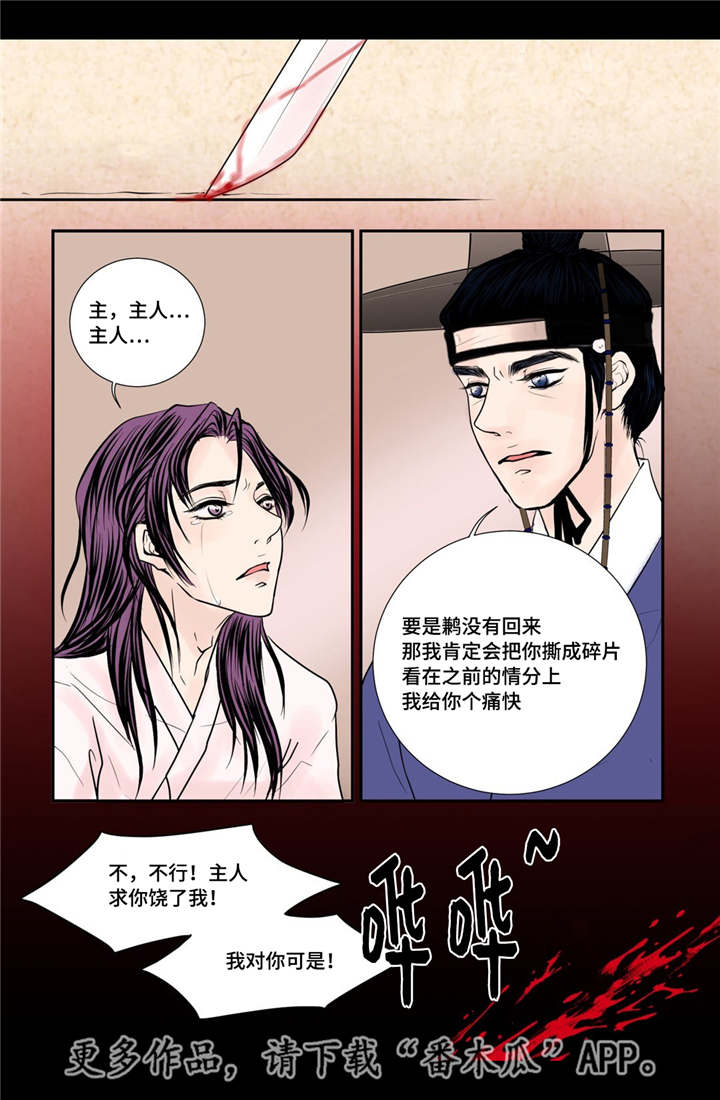第37章：幸福的事13
