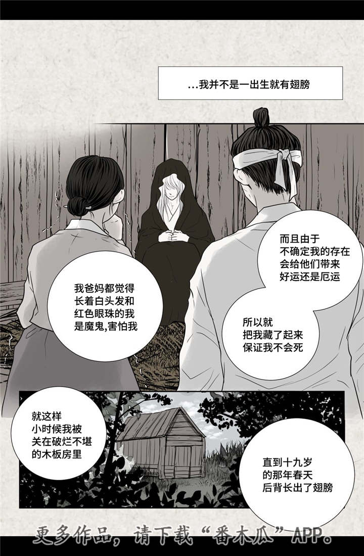 第17章：令人震惊16