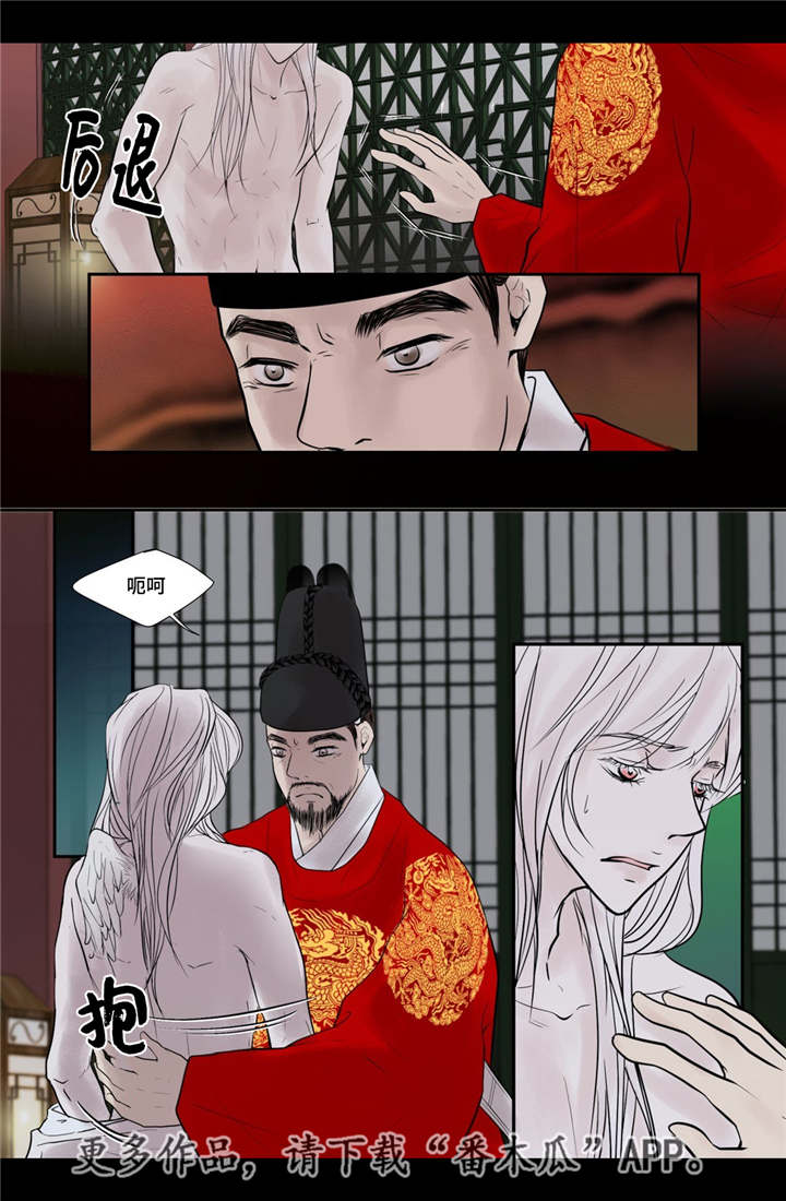 第51章：他的眼光12