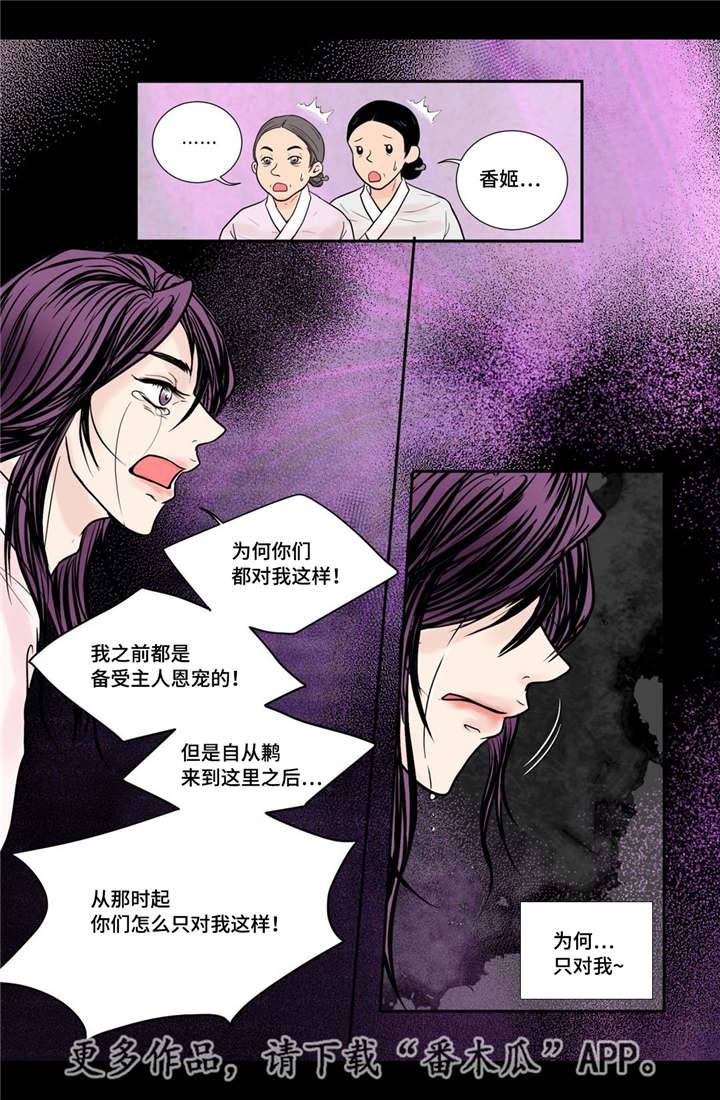 第31章：请你喝酒10