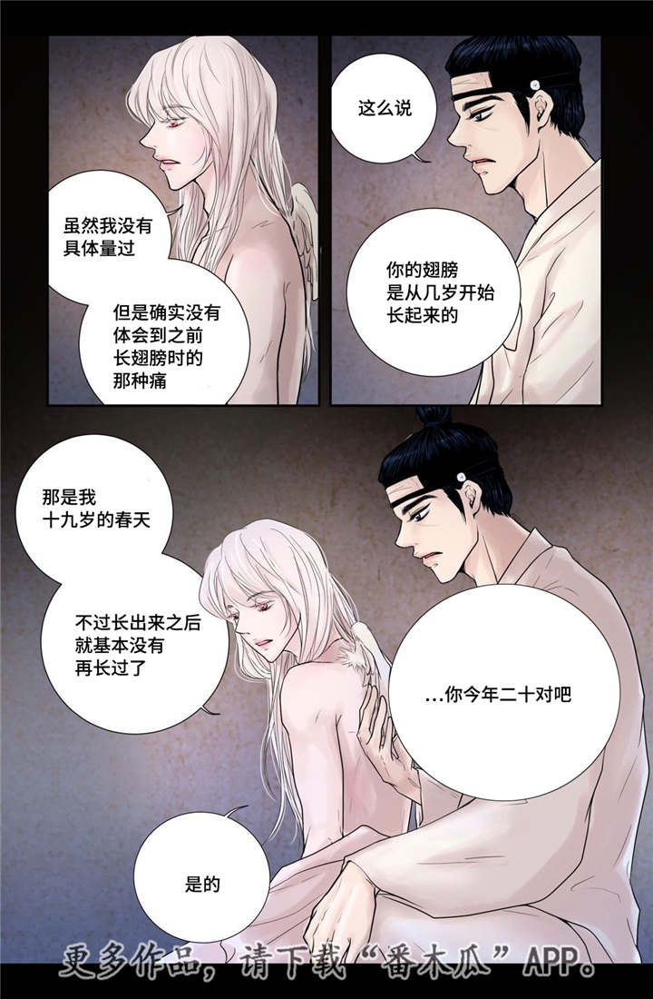 第13章：爱不释手9