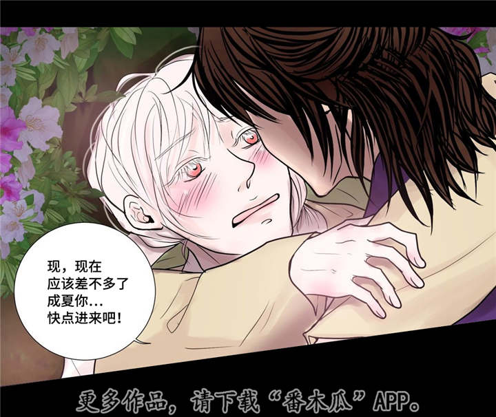 第32章：无法表达15