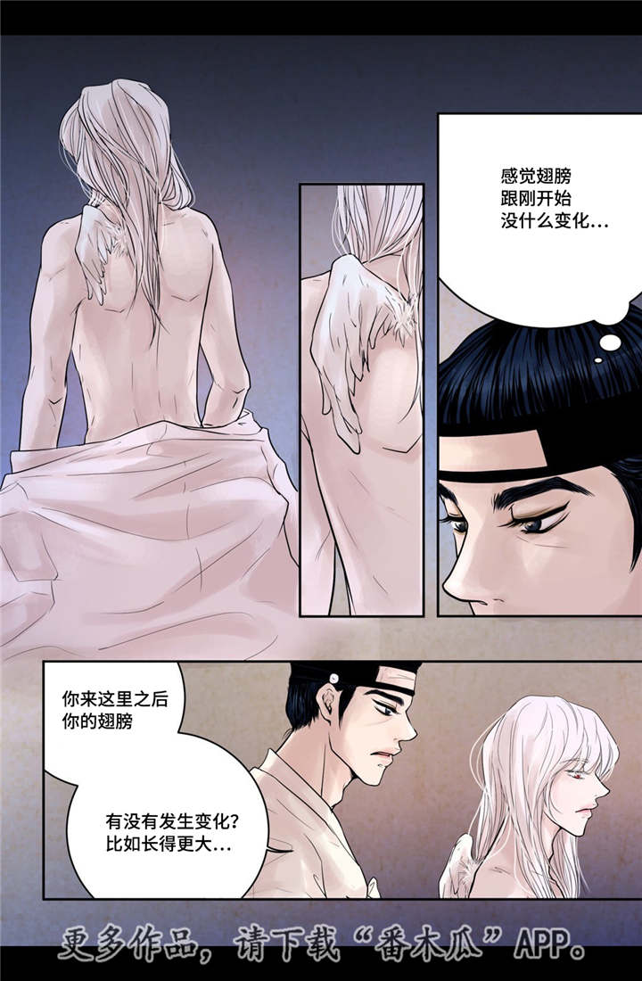 第13章：爱不释手8