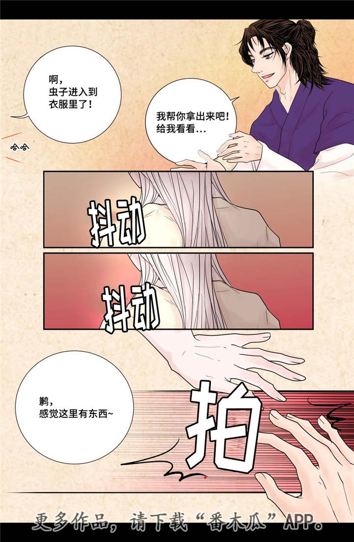 第17章：令人震惊4
