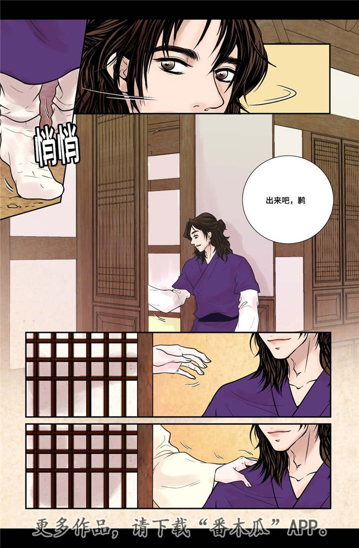 第17章：令人震惊0