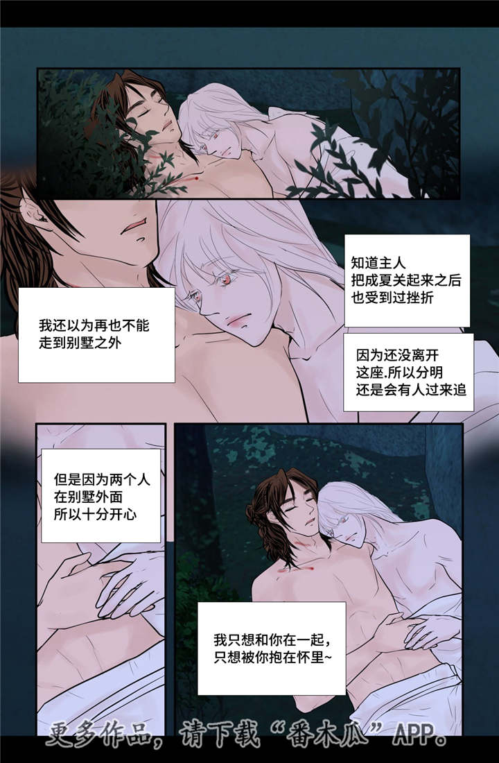 第47章：我的愿望7