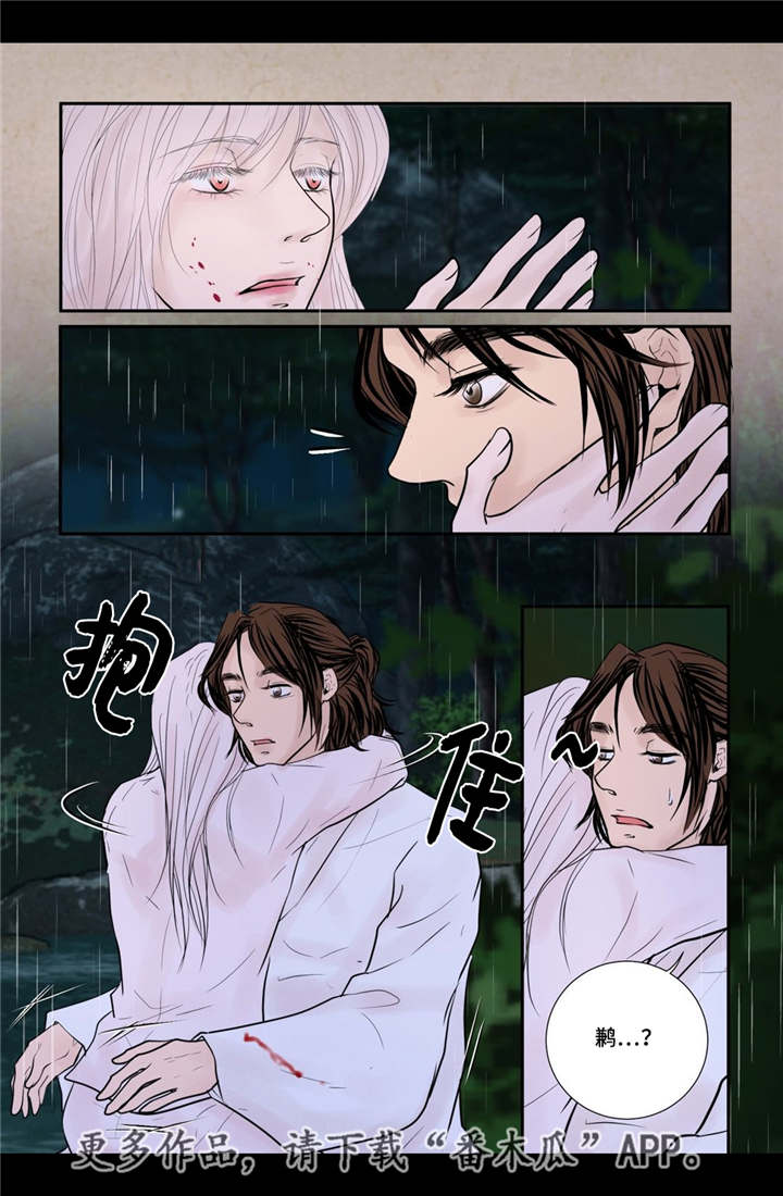 第46章：不能没你10