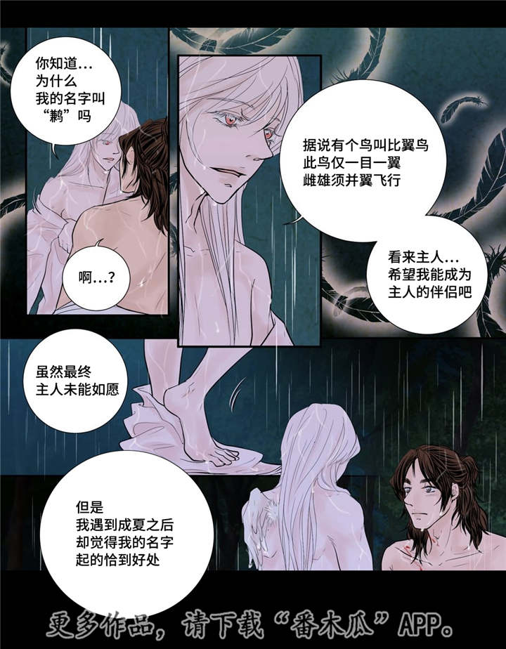 第47章：我的愿望2