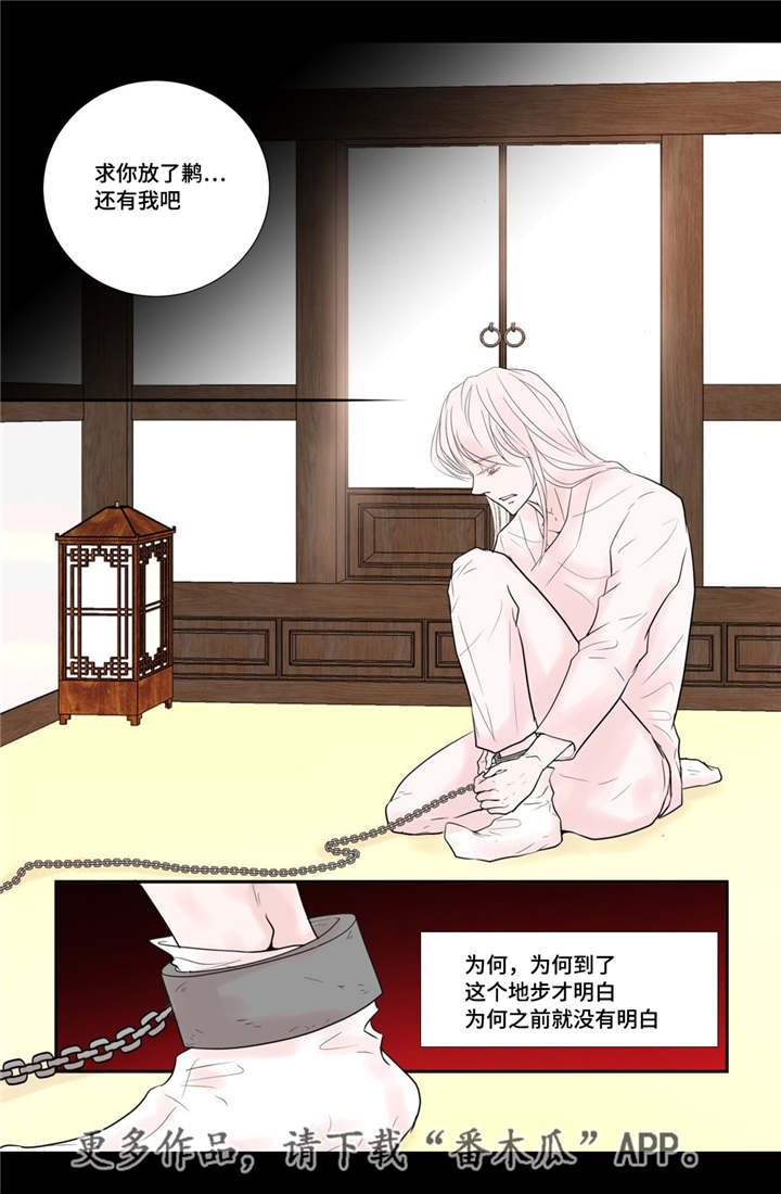 第40章：逃脱不掉3