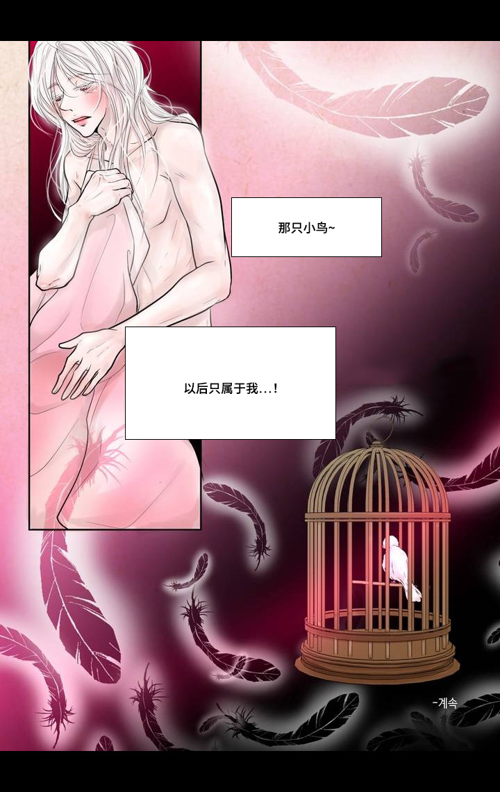 第2章：竞拍成功17
