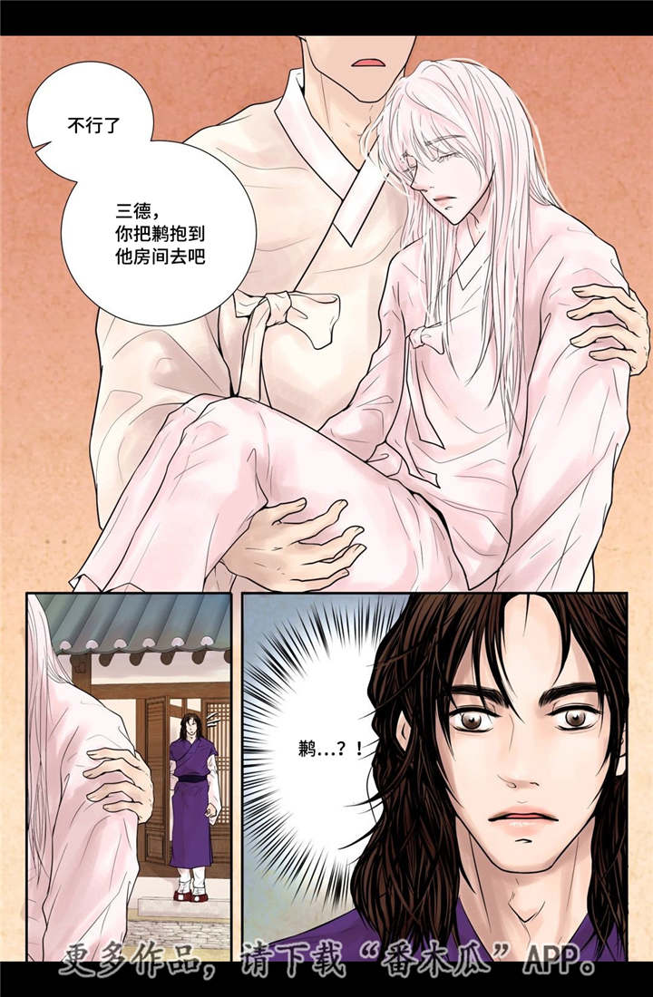 第14章：美丽动人11