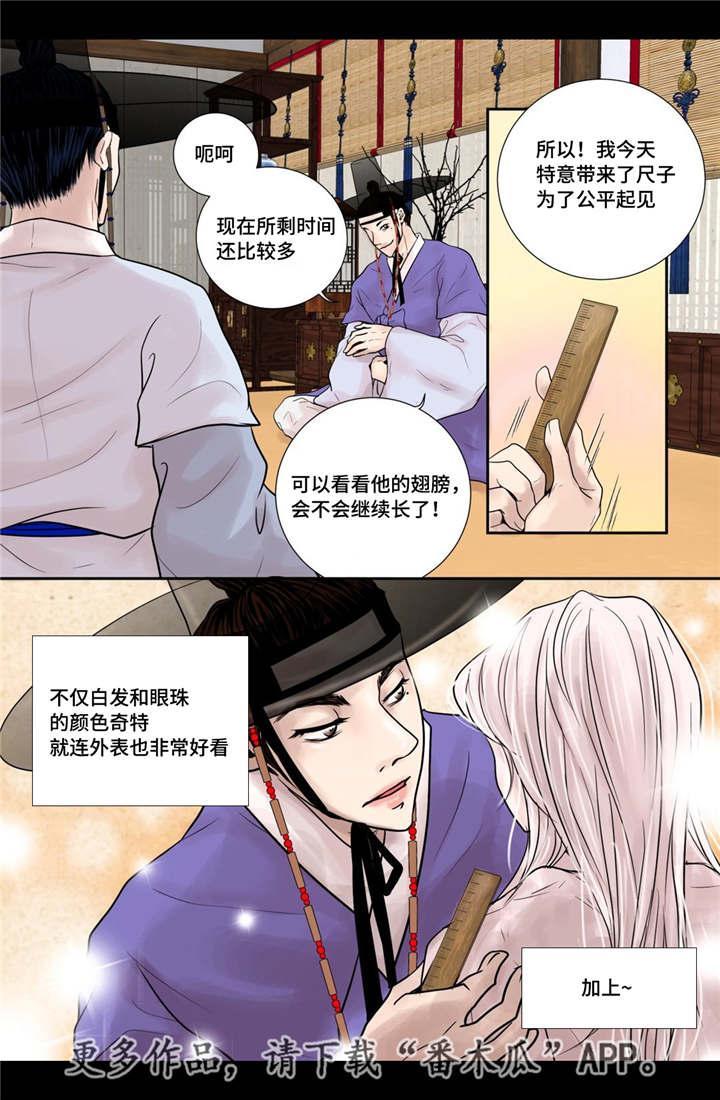 第14章：美丽动人22
