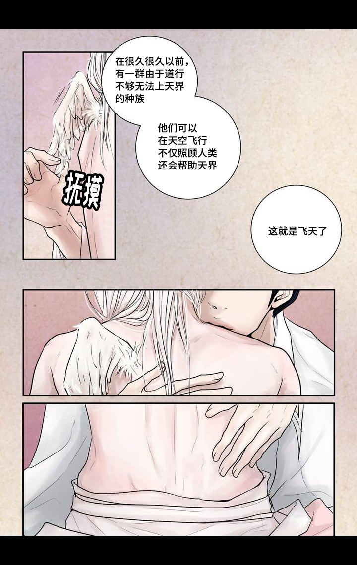 第4章：很好玩啊5
