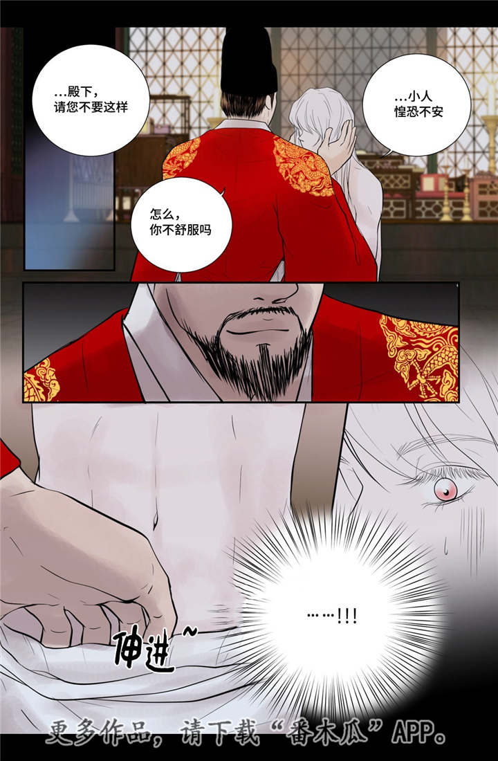 第51章：他的眼光13