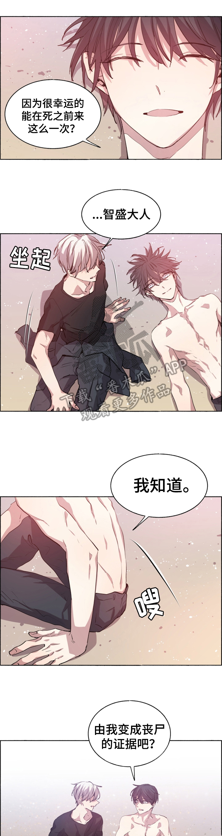 第29章：选择0
