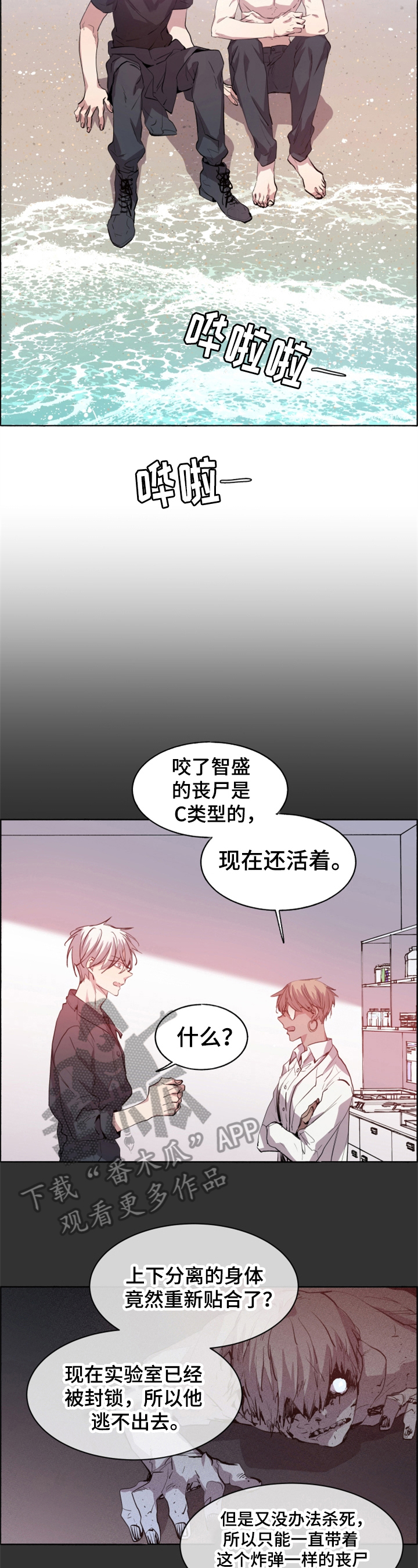 第29章：选择1