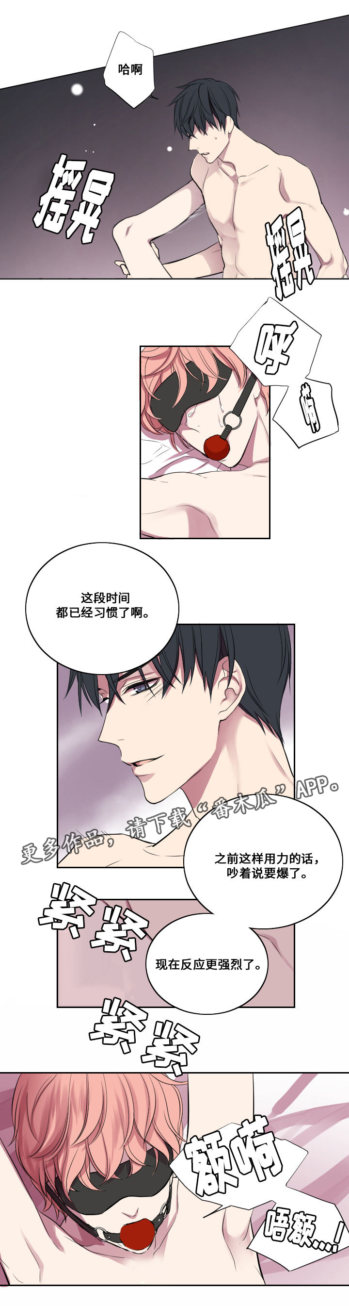 第8章：谎言5