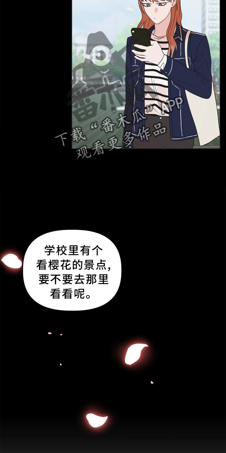 第32章：照片28