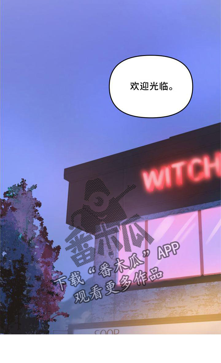 第19章：意见24