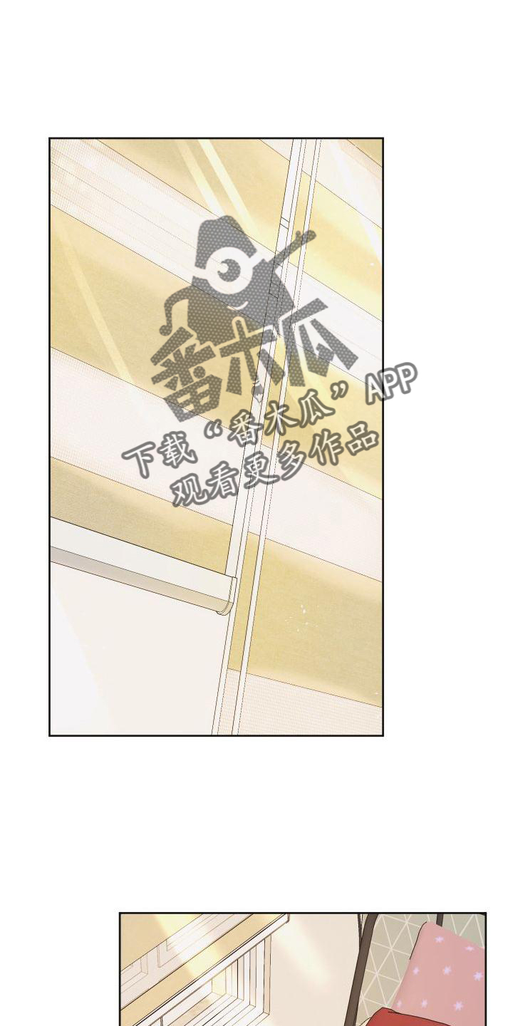 第19章：意见21