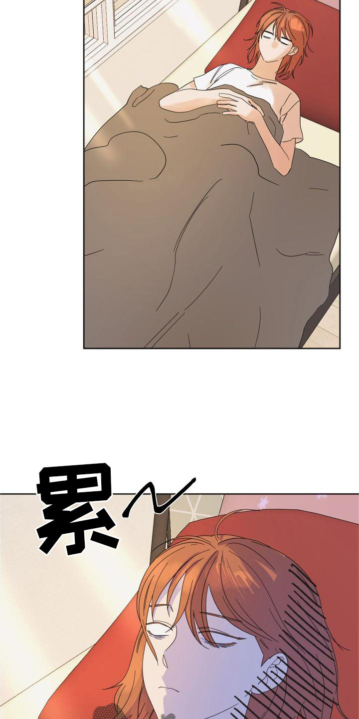 第19章：意见22