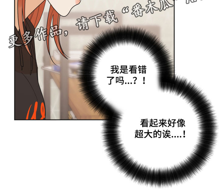 第7章：带回家18