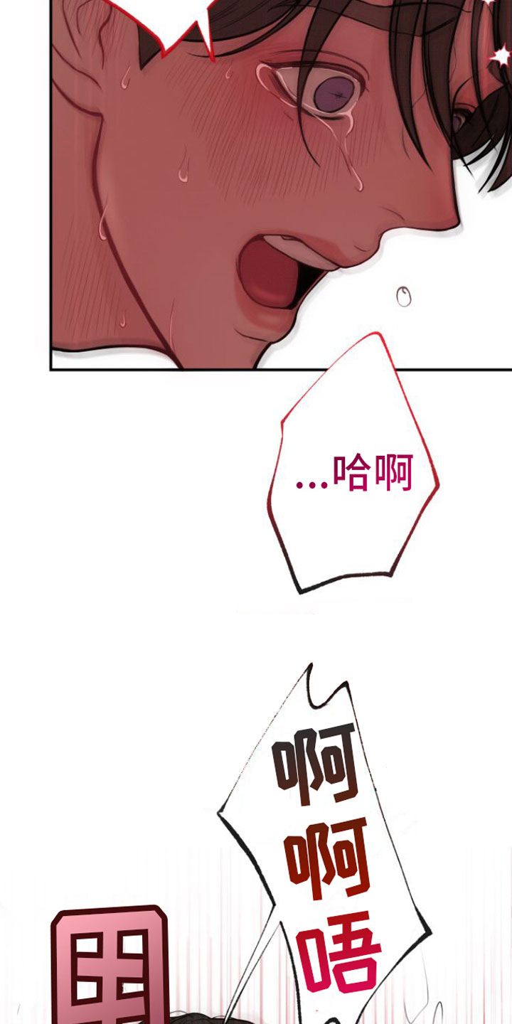 第15章：真好看12