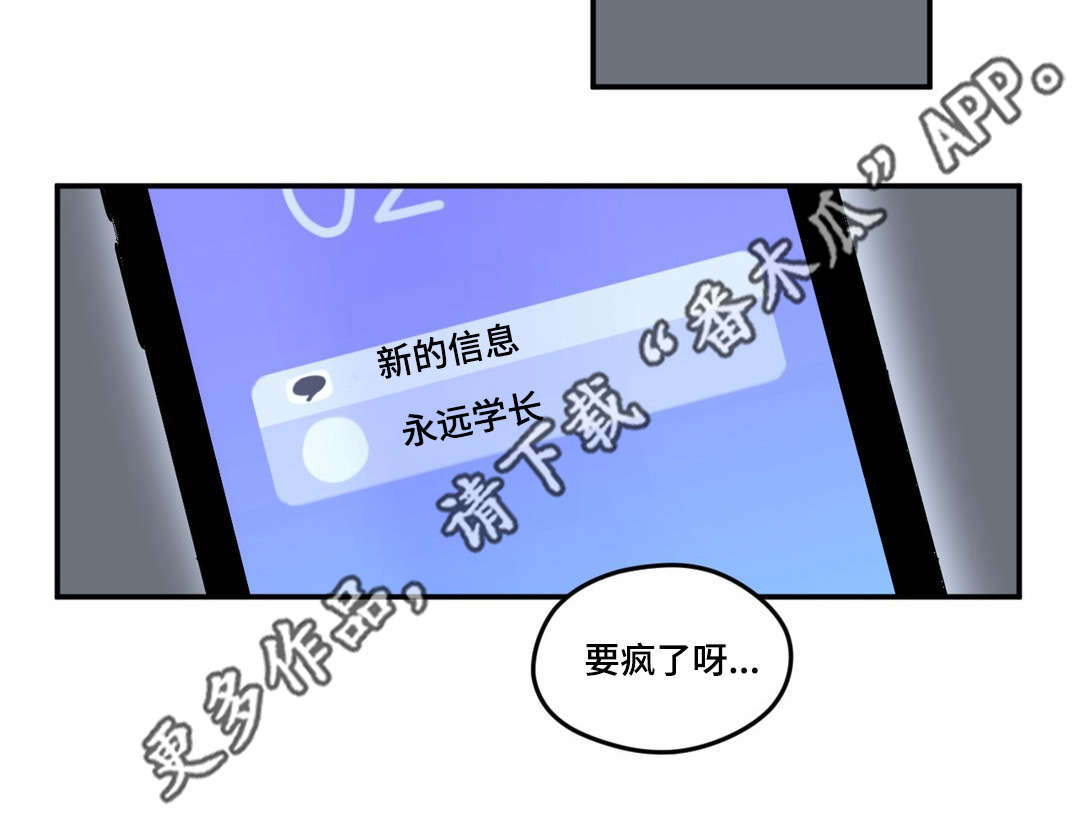 第17章：我行我素6
