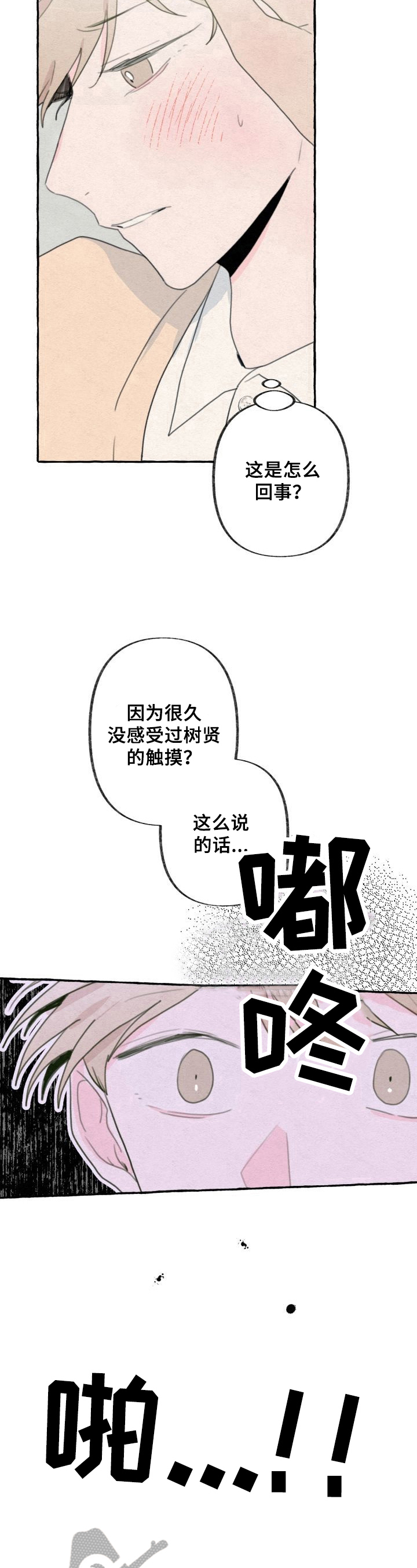 第48章：记忆6