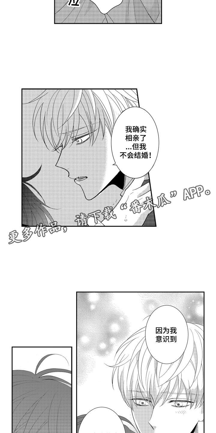 第15章：表白12