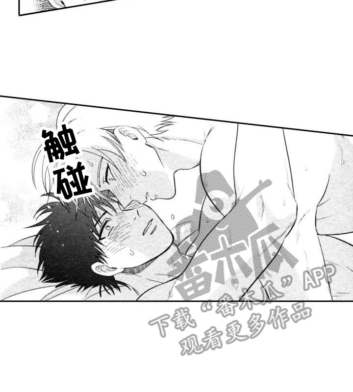 第11章：最后两天11