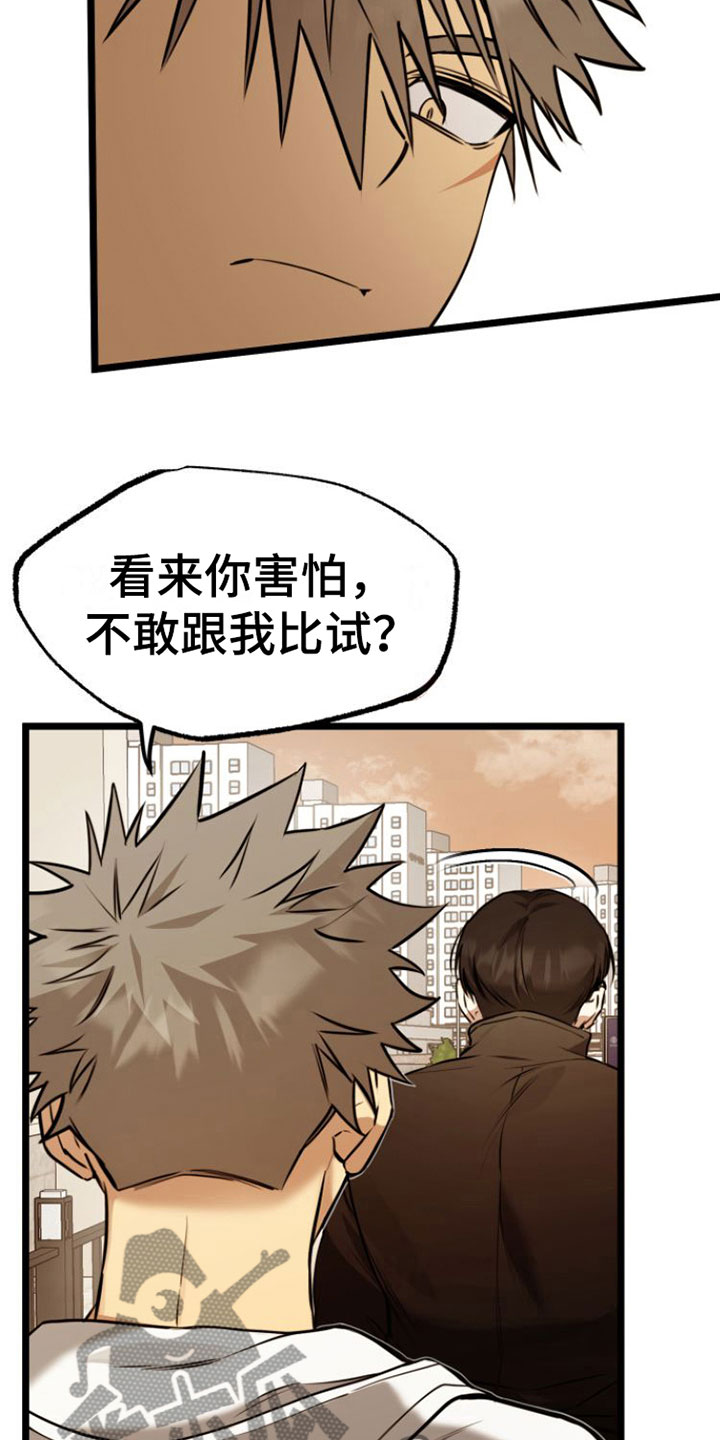 第4章：条件11