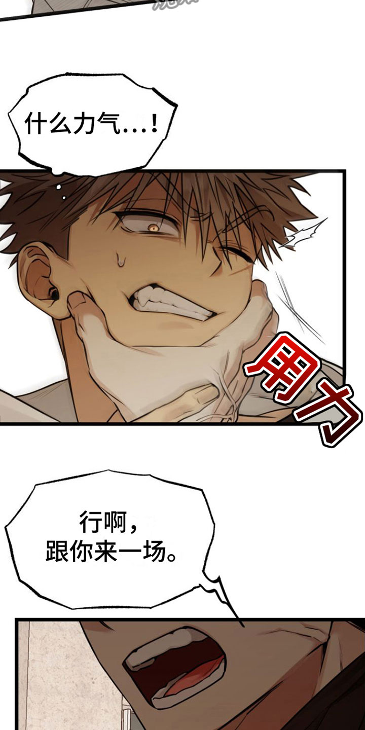 第4章：条件17