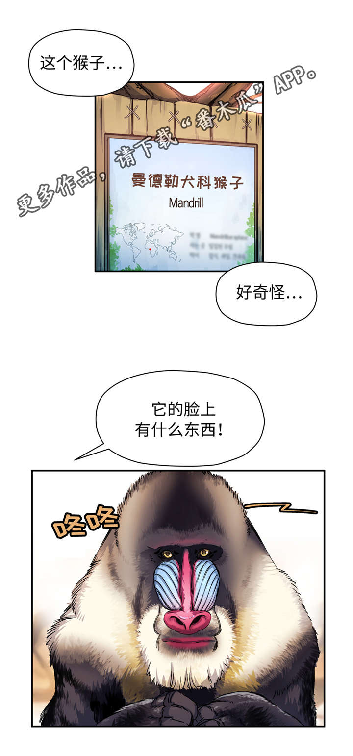 第17章：动物园7