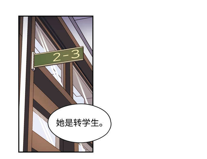 第13章：第一印象14