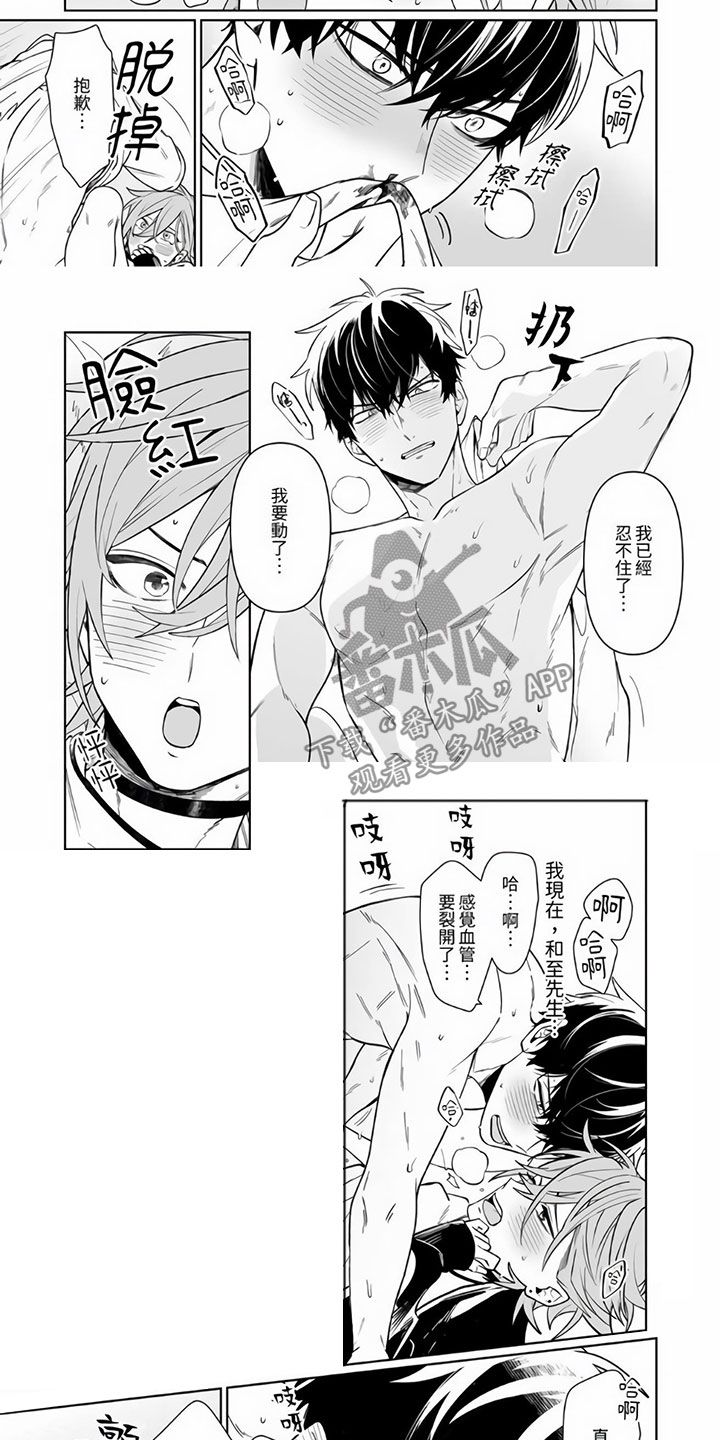 第8章：只给我看6