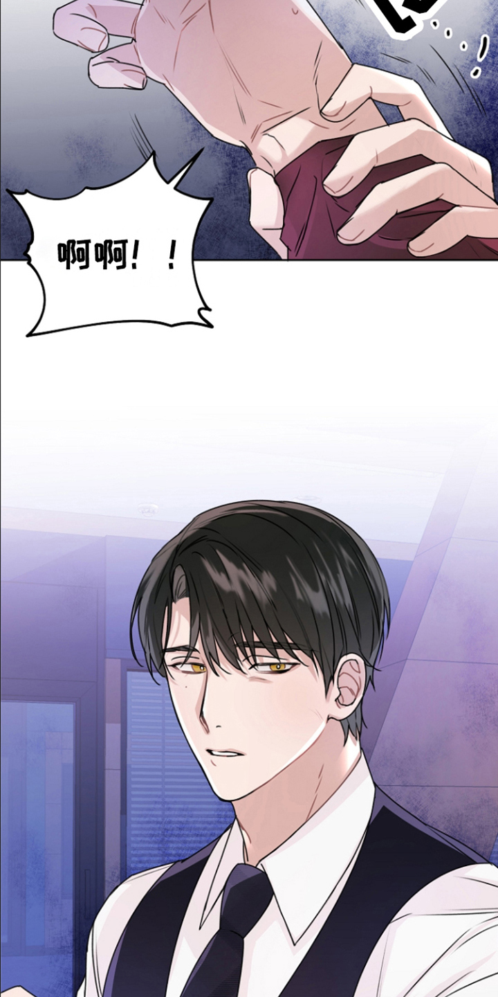 第15章：装可怜 8