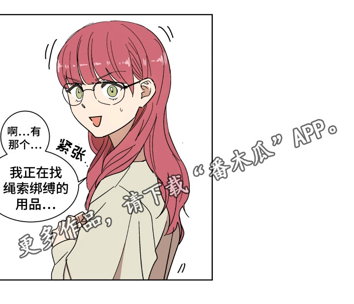 第4章：查询12