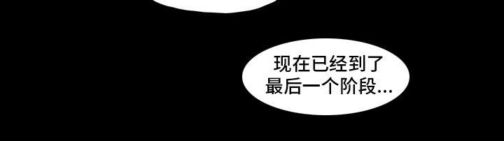 第68章：最后阶段11