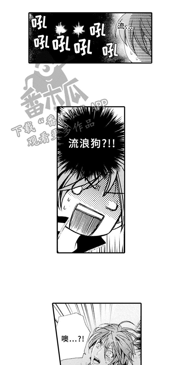 第4章：肆意妄为9