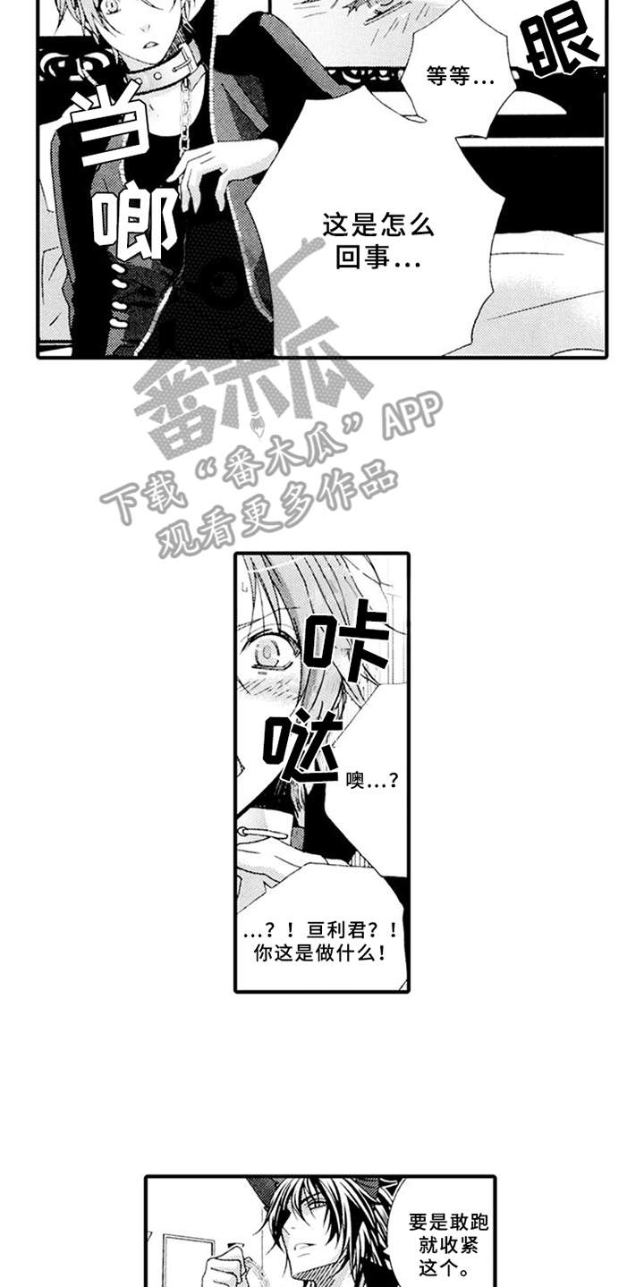 第4章：肆意妄为11