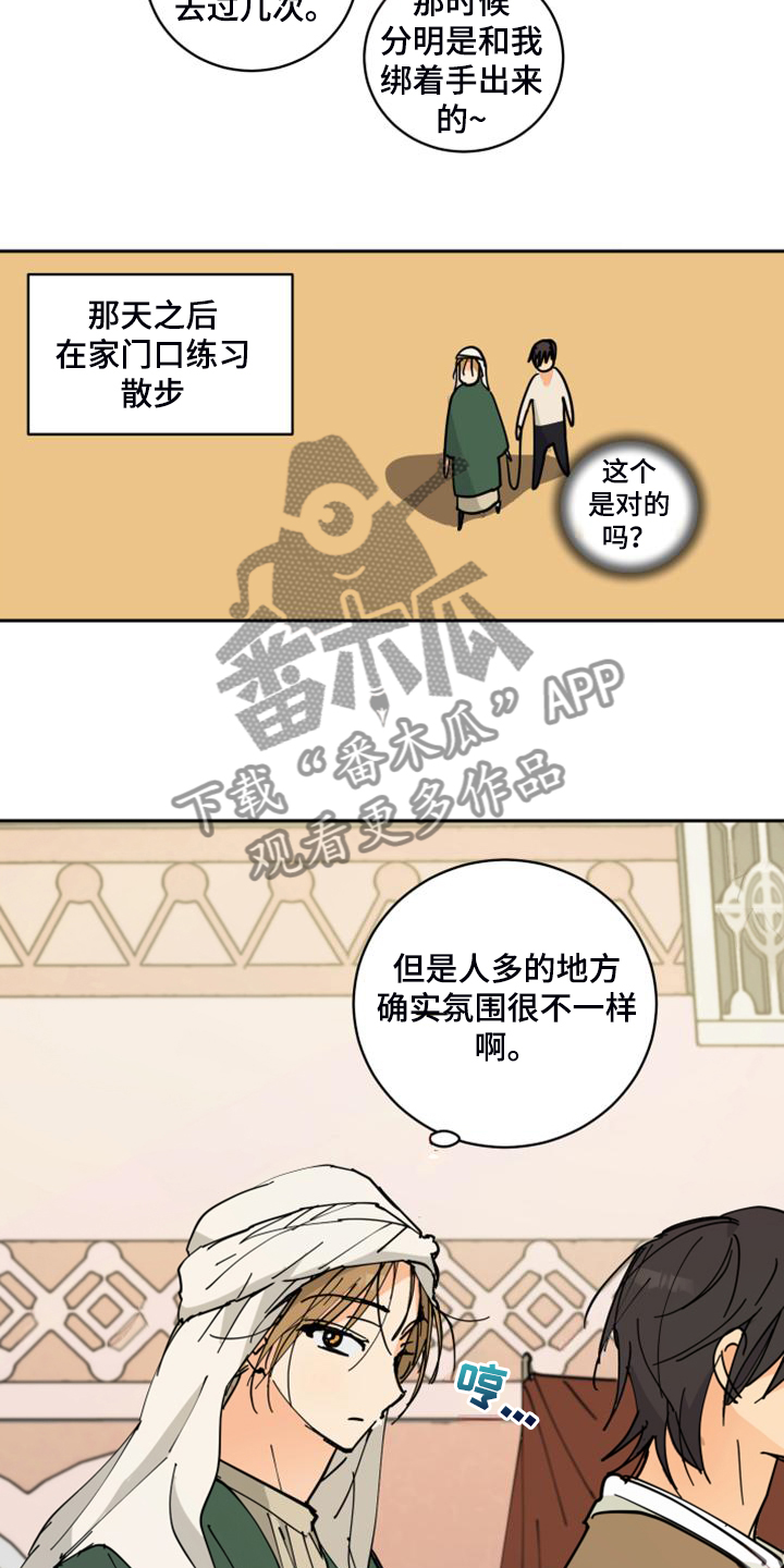 第17章：流落街头10