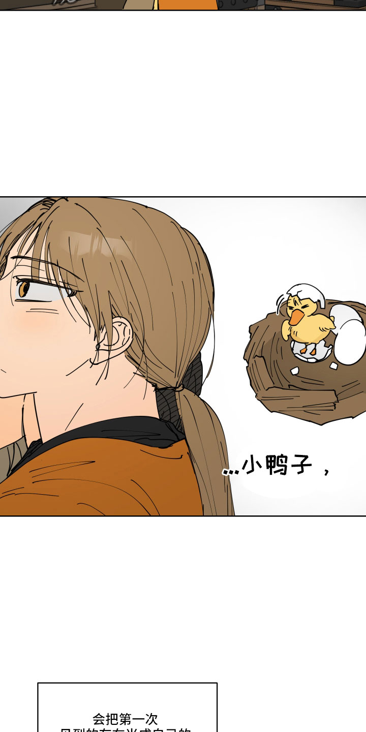 第45章：鸭子宝宝24